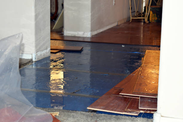 Professional Emergency Water Damage Restoration technician working in Palmyra, NJ